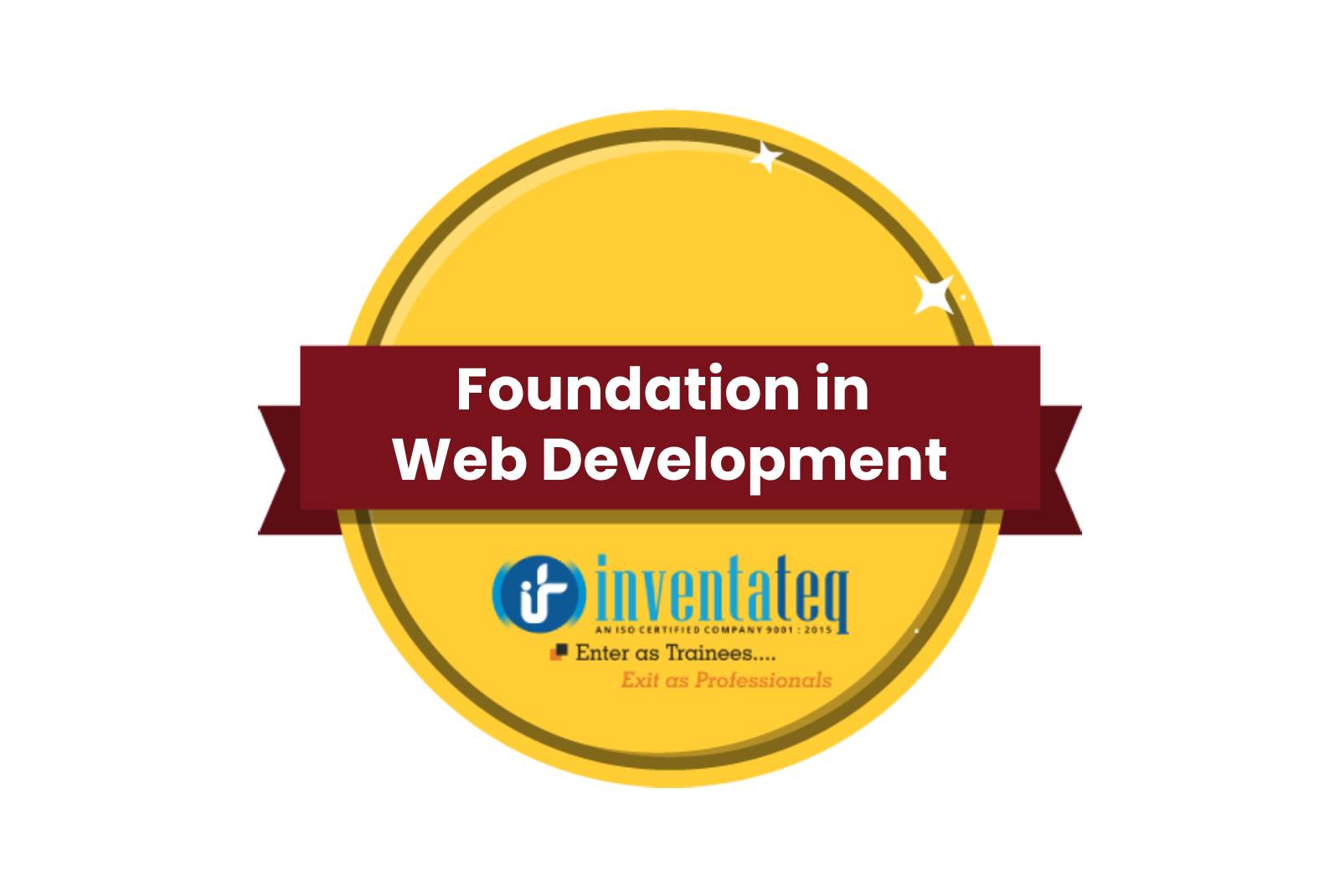 web development coaching
